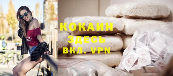 ALPHA PVP Каменка