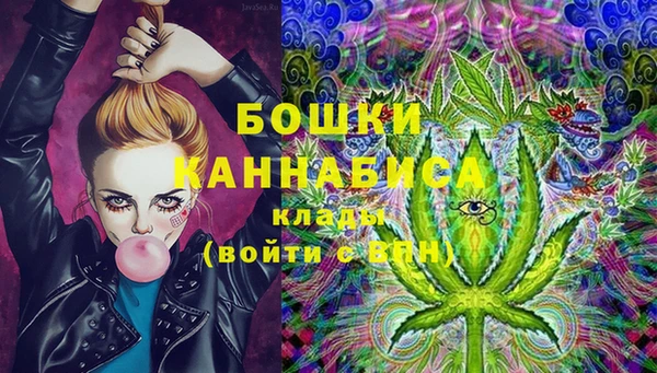 эйфоретик Каменногорск