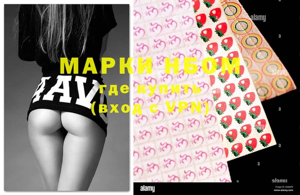 эйфоретик Каменногорск