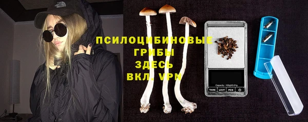 мяу мяу кристалл Билибино