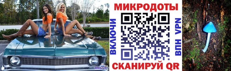 где купить наркотик  Каргополь  Галлюциногенные грибы GOLDEN TEACHER 